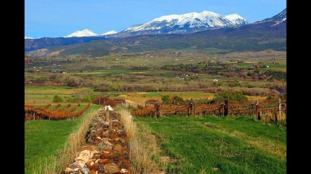 west elks ava colorado vineyard