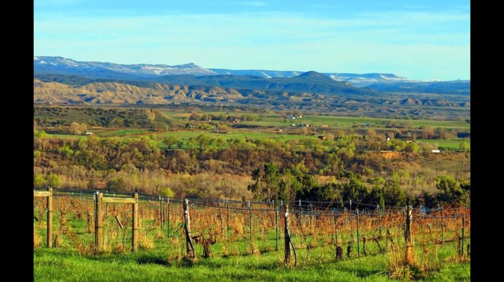 west elks ava colorado vineyard