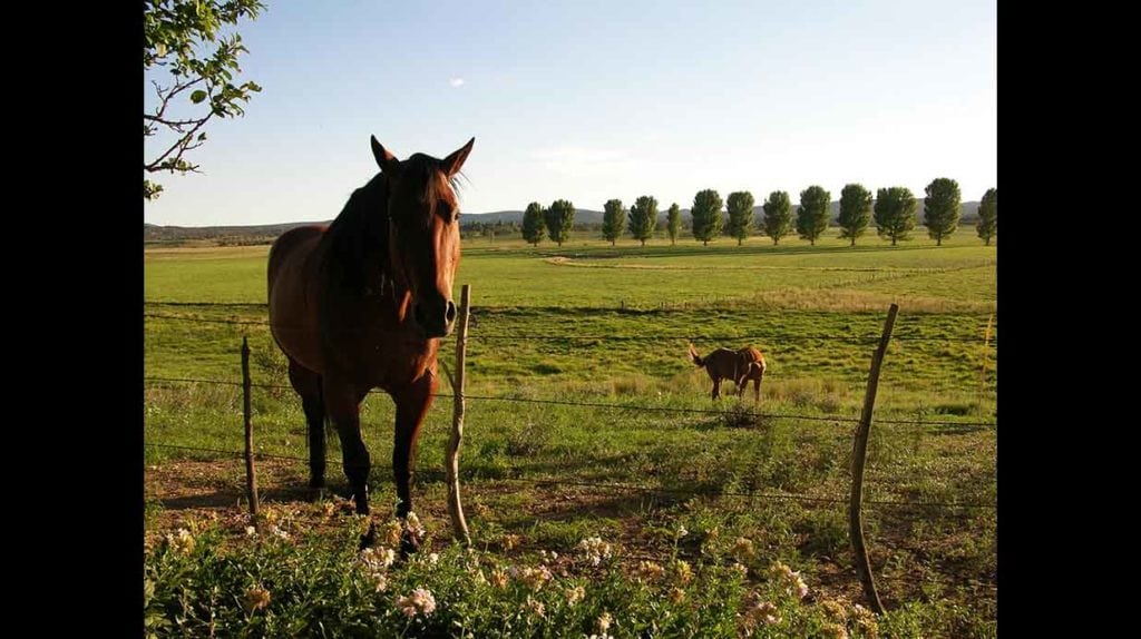 long meadow ranch sale, yavapai county, arizona