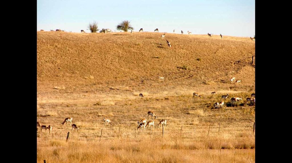 long meadow ranch sale, yavapai county, arizona