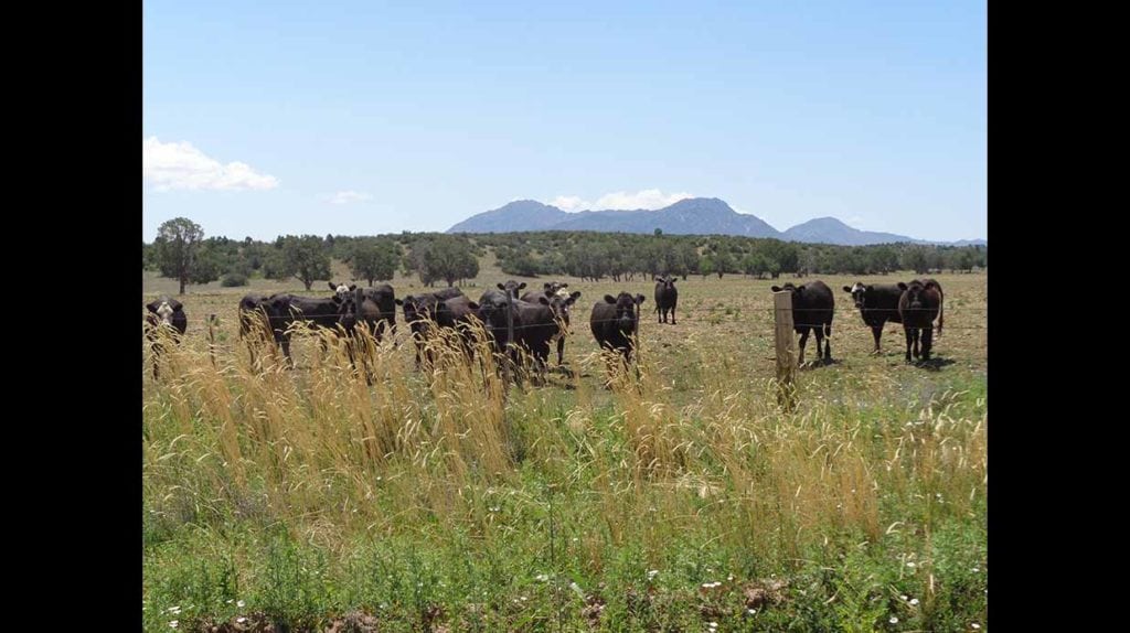 long meadow ranch sale, yavapai county, arizona