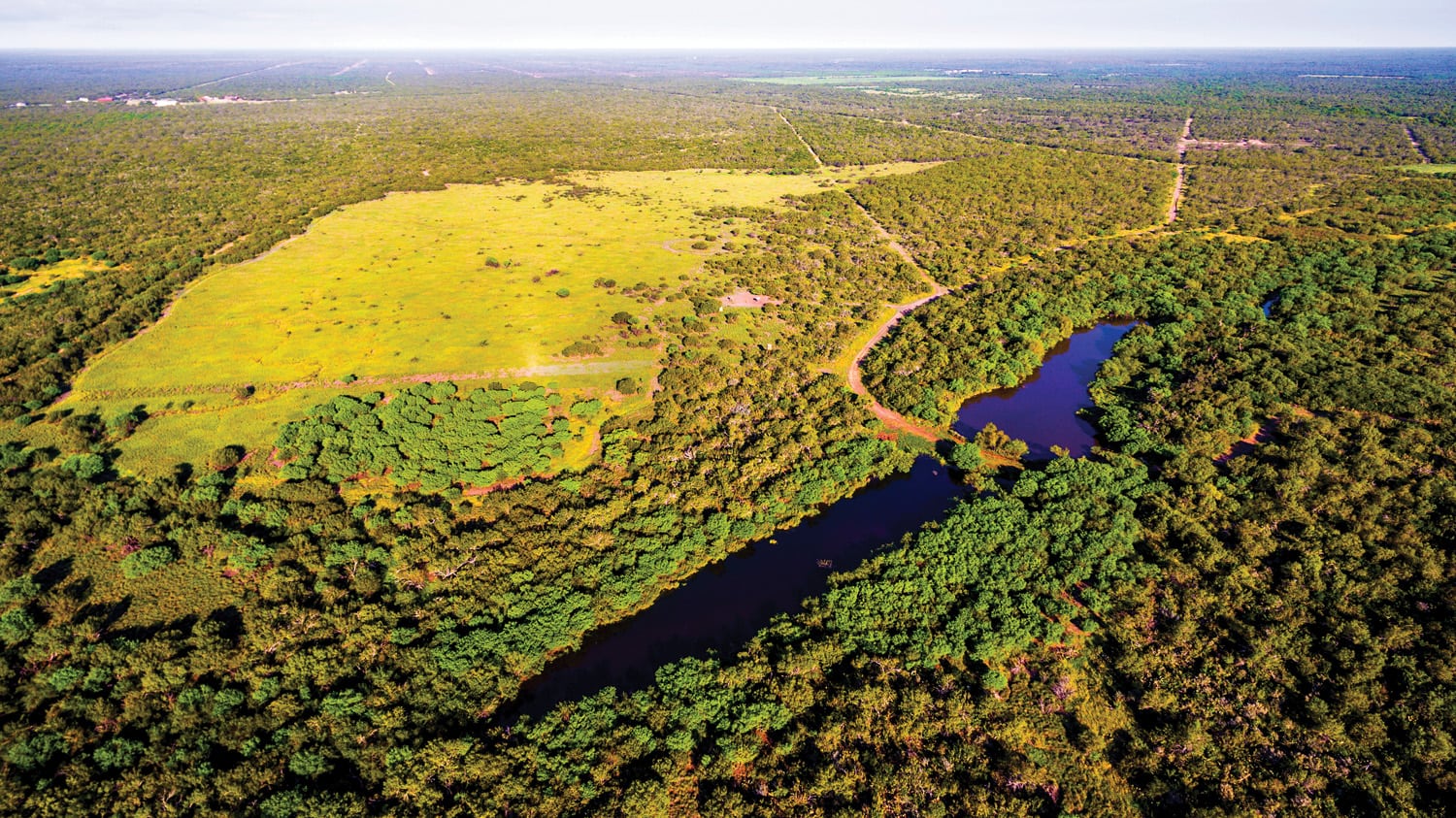 For Sale Santa Margarita Ranch in La Salle County, Texas
