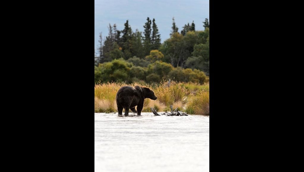 Chip Laughton, Days Afield Photography, nature photography