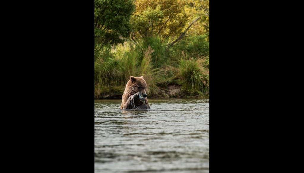 Chip Laughton, Days Afield Photography, nature photography