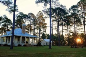 image of land, rural landscape, land for sale