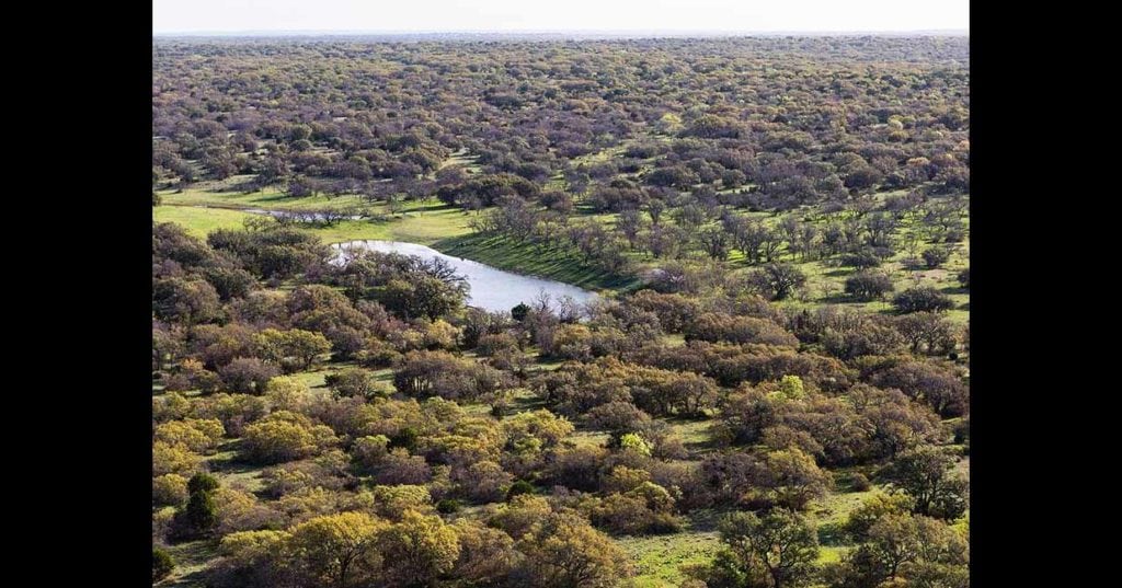 Ford Ranch sale, Sam Middleton