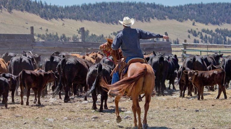 middle fork ranch, colorado