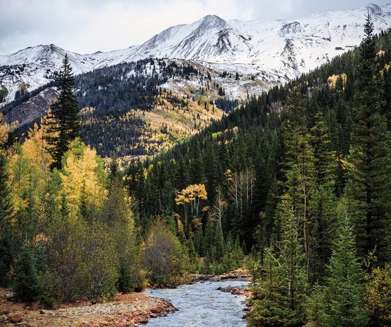 san juan trout stream