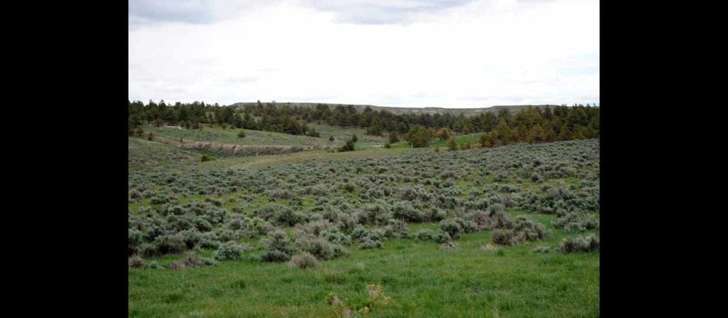 walker creek ranch, wyoming