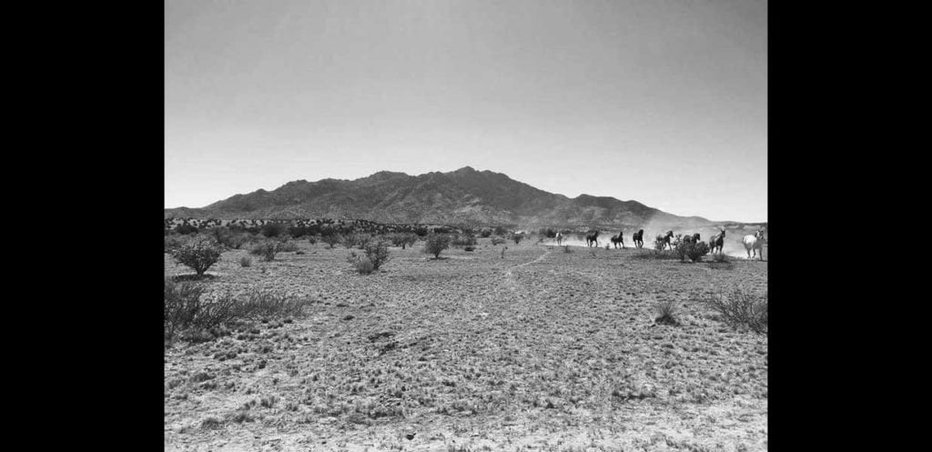 Ladron Mountain Ranch sale, New Mexico c