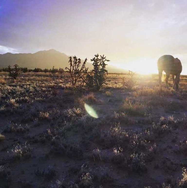 Ladron Mountain Ranch sale, New Mexico cover