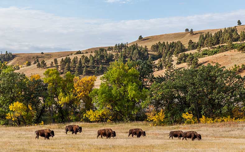 Best states for retirement: South Dakota