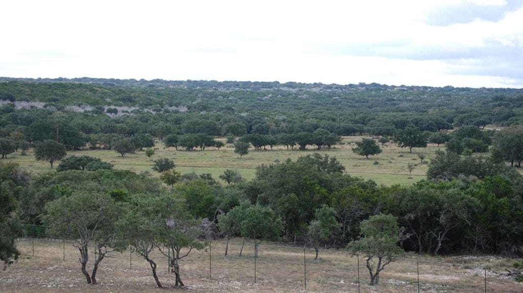 Double T Ranch in Real County, Texas