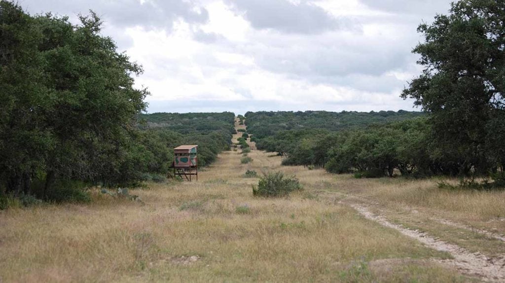 Double T Ranch in Real County, Texas