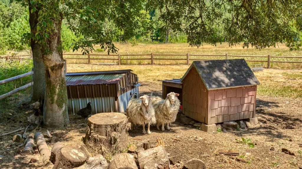 Rogue River Ranch, Oregon