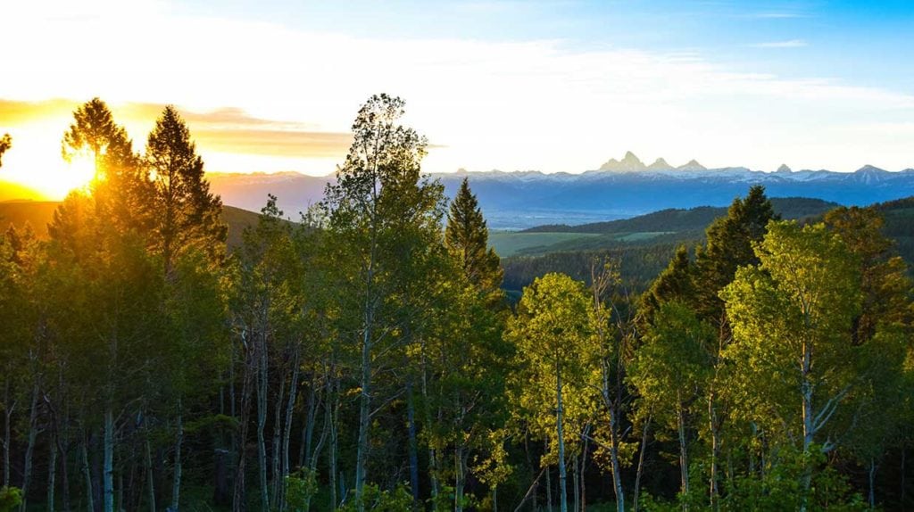 View of Grand Tetons from Teton Timbers Ranch near Driggs, Idaho