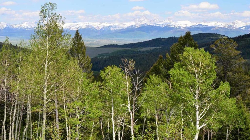 View of Grand Tetons from Teton Timbers Ranch near Driggs, Idaho