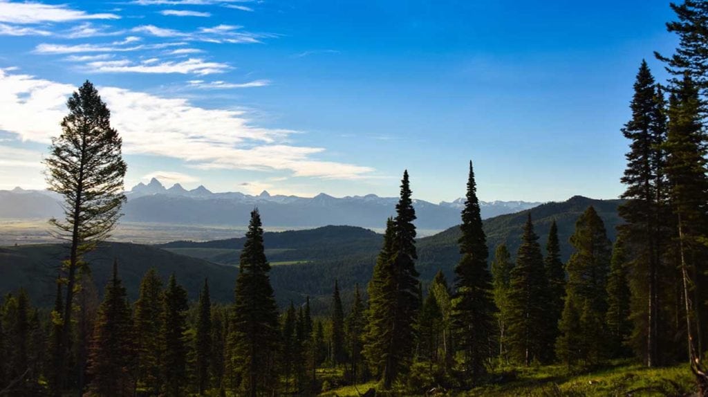 Mountain view on Teton Timbers Ranch near Driggs, Idaho