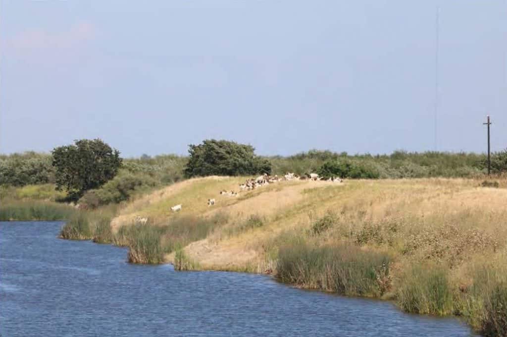 Bowlsbey Ranch sale, Solano County