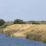 Bowlsbey Ranch sale, Solano County