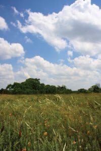 Water Management tips for your land