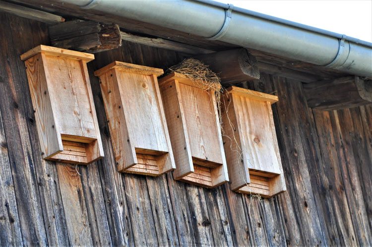 Wooden Bat Houses