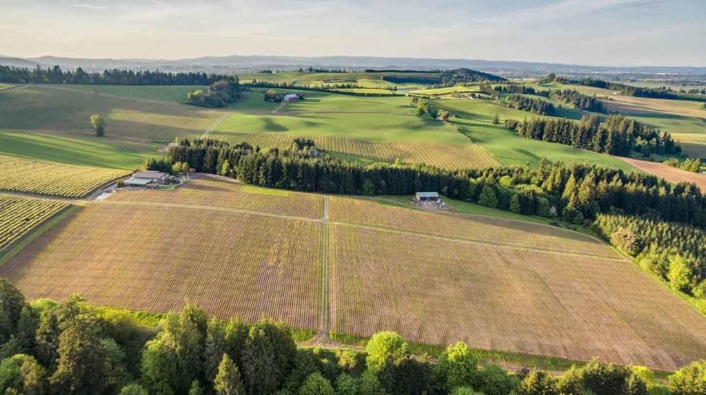 ardiri winery vineyard sale, chehalem mountains ava near portland, oregon