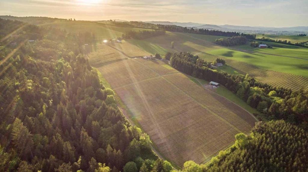 ardiri winery vineyard sale, chehalem mountains ava near portland, oregon