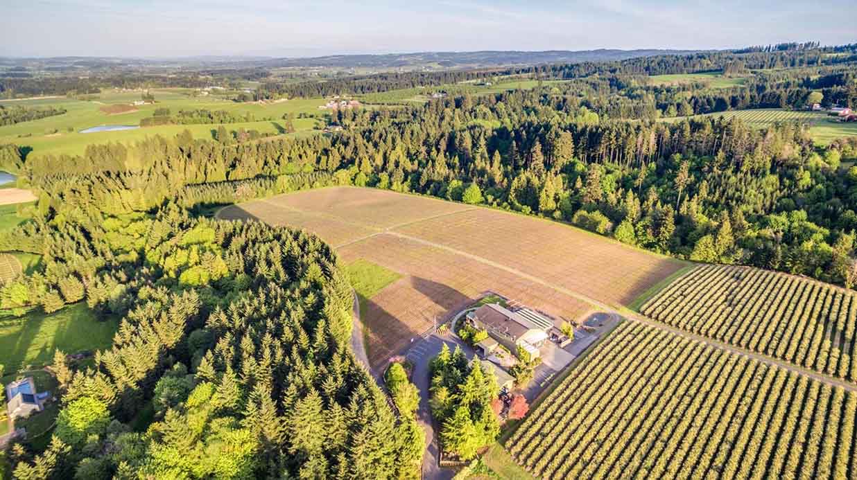 Turnkey Vineyard for Sale in Oregon's Willamette Valley