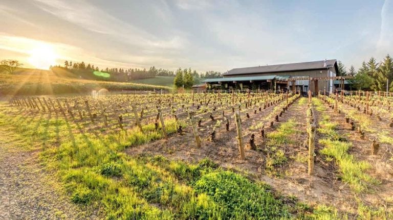 ardiri winery vineyard sale, chehalem mountains ava near portland, oregon