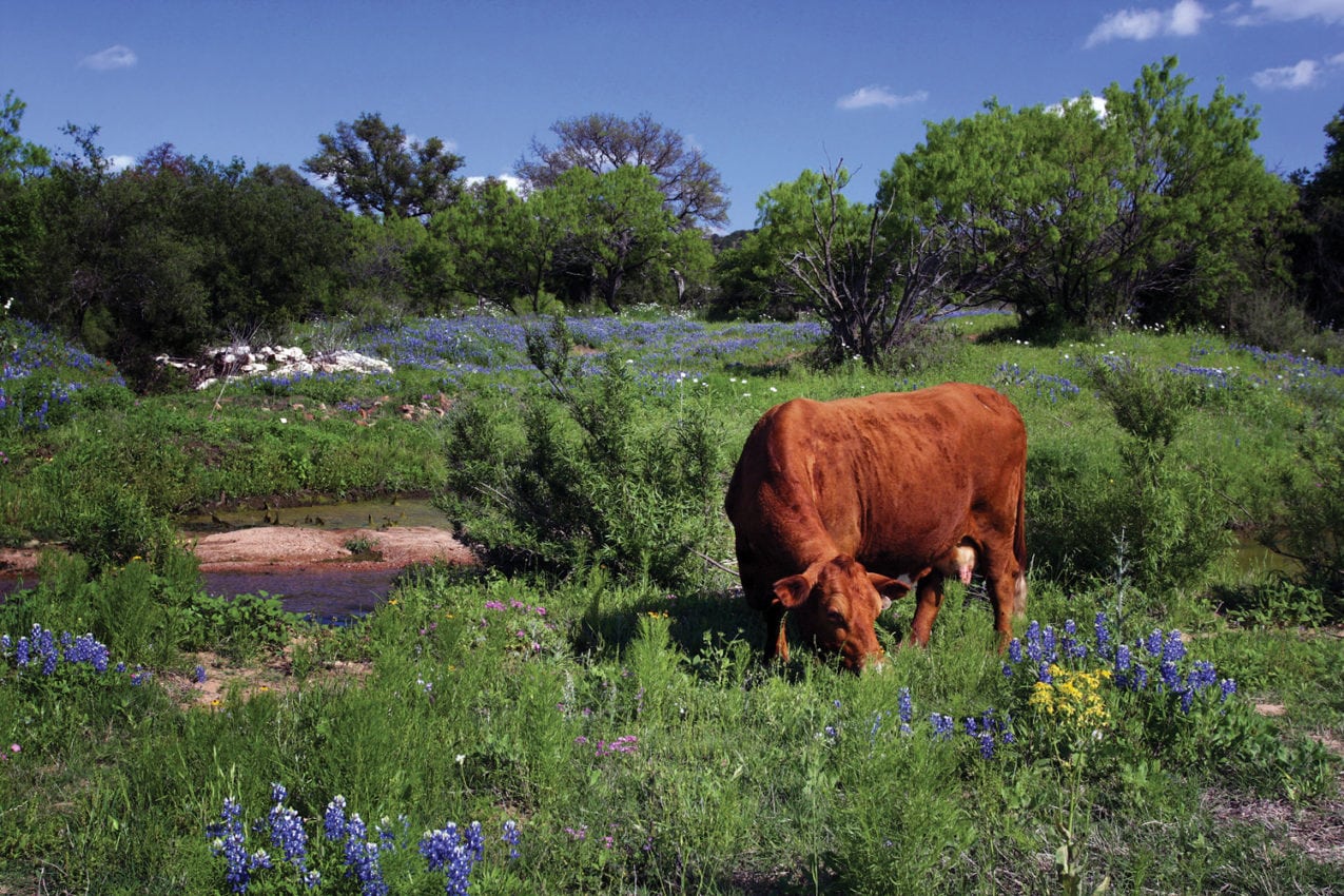 Water Management tips for your land