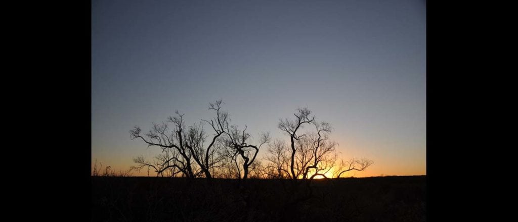 coyanoas draw ranch sale in pecos county, texas