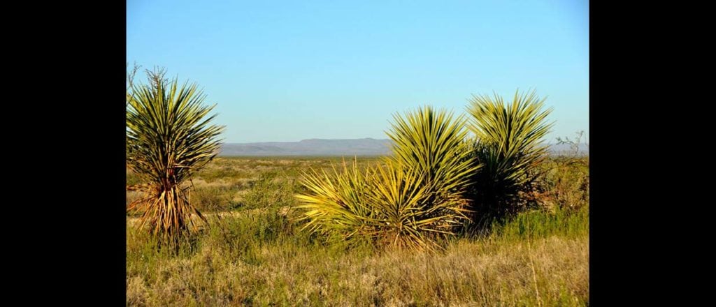 coyanoas draw ranch sale in pecos county, texas