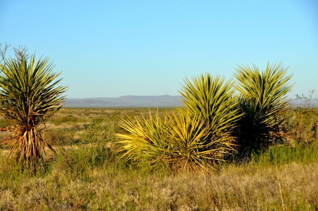 coyanoas draw ranch sale in pecos county, texas