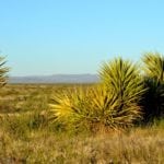 coyanoas draw ranch sale in pecos county, texas