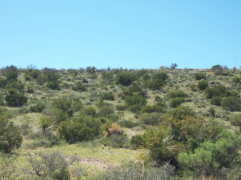 image of land, rural landscape, land for sale