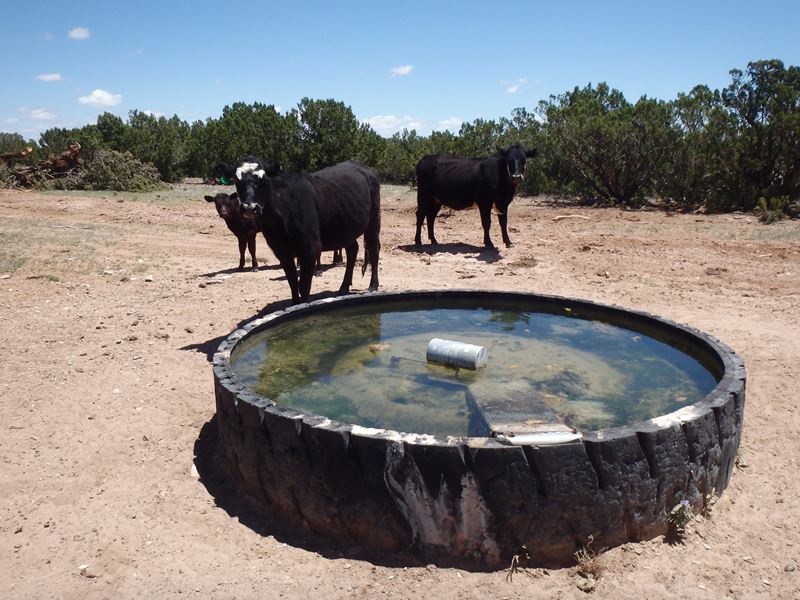 Torrance County Ranch sale, New Mexico