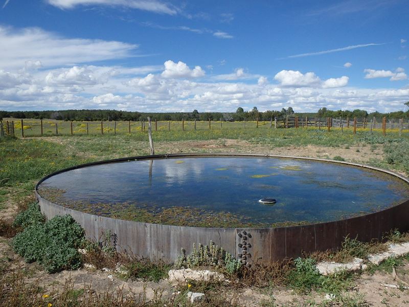 Torrance County Ranch sale, New Mexico