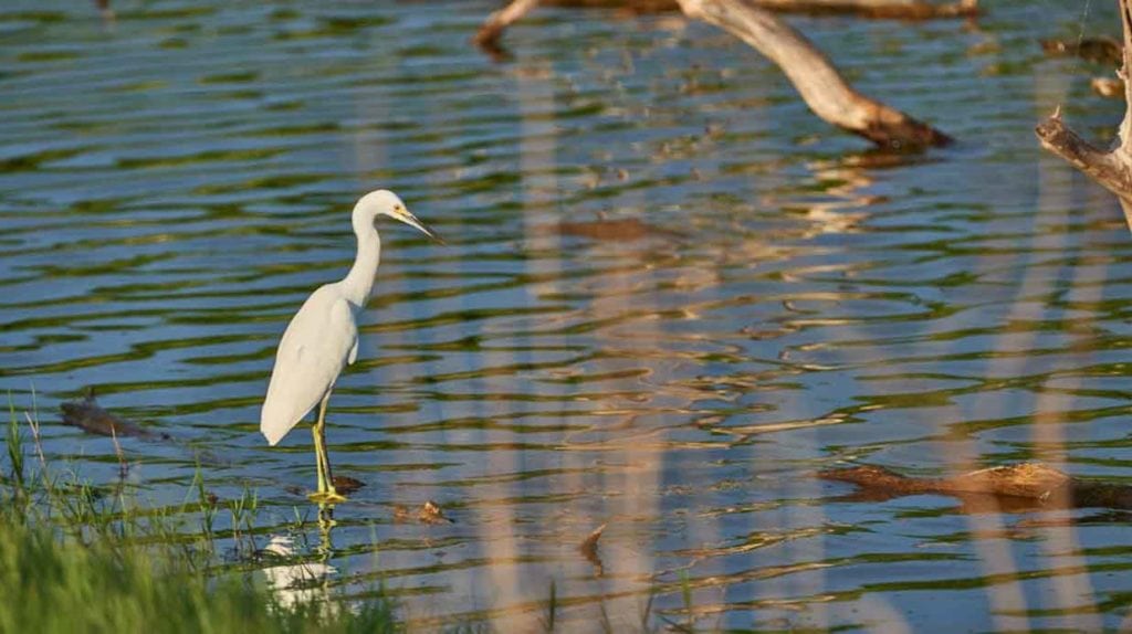 The Passes at Pontchartrain, Louisiana, sale by Republic Ranches