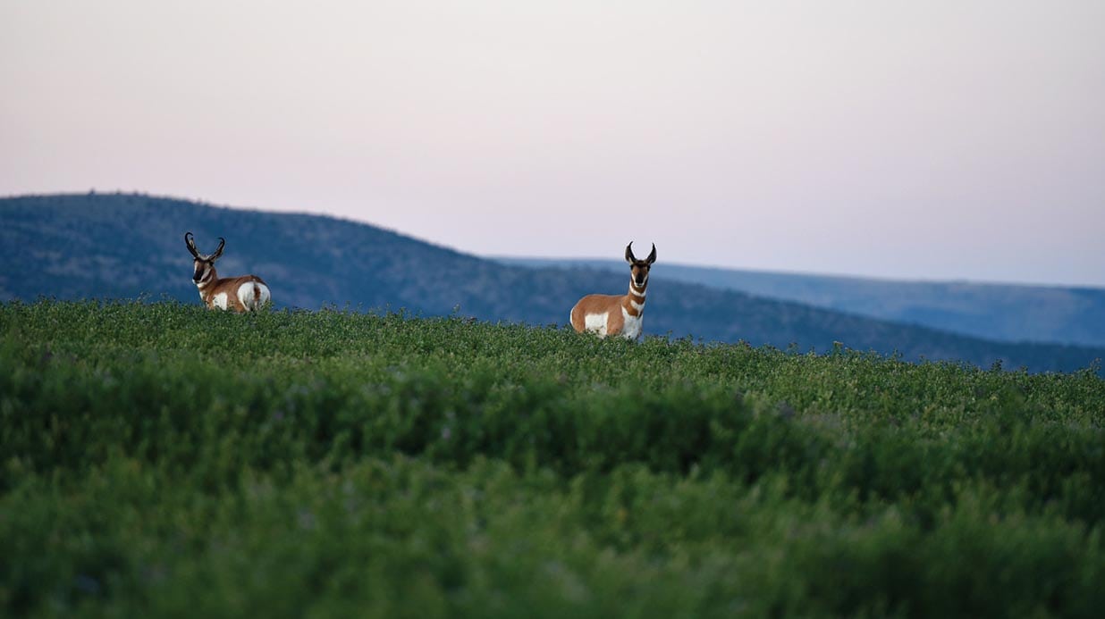 Antone Ranch, A Legacy Recreational Ranch
