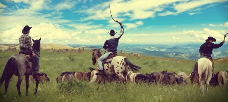 cowboys on horseback, guide to ranch management