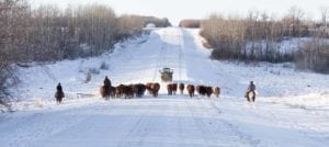 ranch manager salary guide
