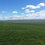 Walla Walla County farm sold