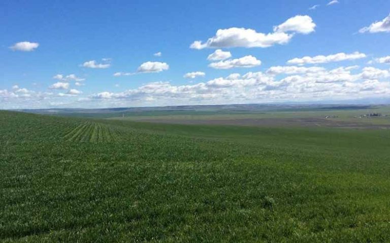 Walla Walla County farm sold