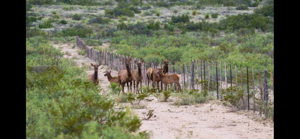 El Corazon De Crystal Ranch sale by Republic Ranches