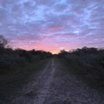 Medio Creek Ranch, Bee County, West & Swope Ranch sale
