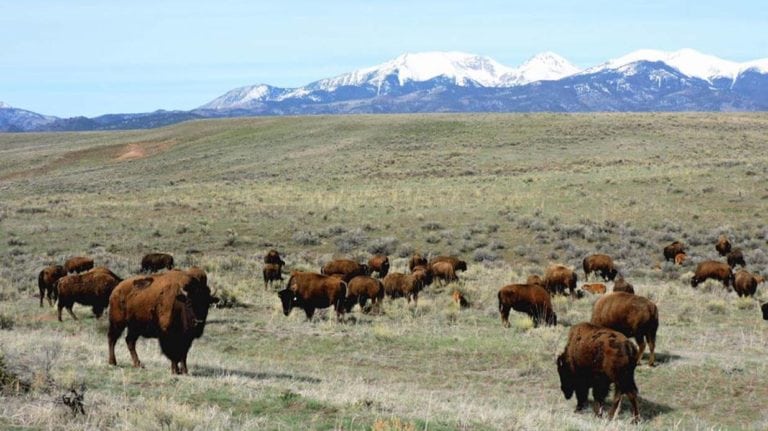 Wolf Springs Ranch, Colorado, Ranch Marketing Associates