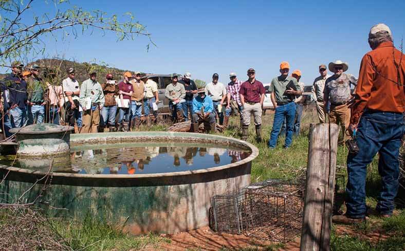 texas wildlife association adult education programs