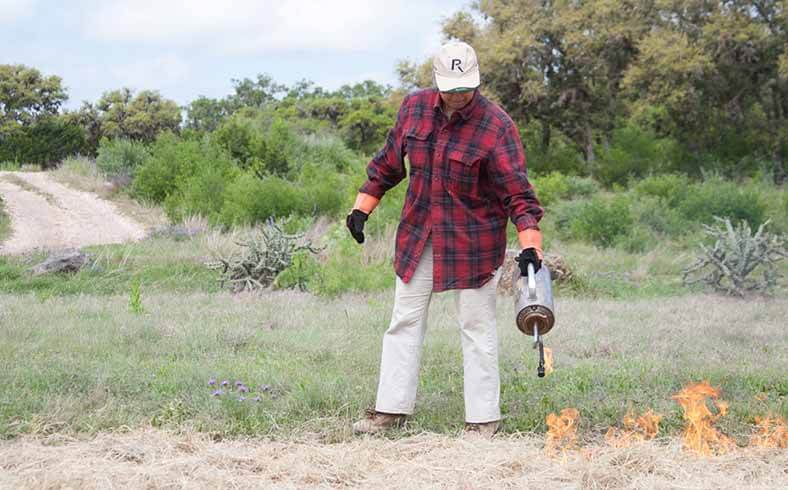 texas wildlife association adult education programs