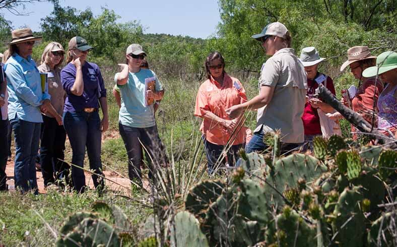 texas wildlife association adult education programs